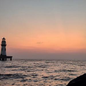 黄软下载推荐排行
